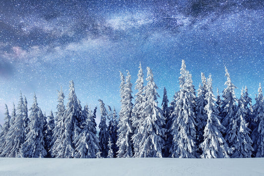 Winter Starry Sky Snowy Tree Forest Backdrop M7-24