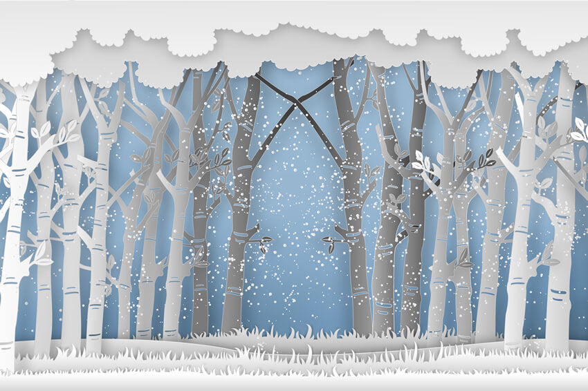 Winter Snowy Forest Tall Trees Grassland Backdrop M7-25