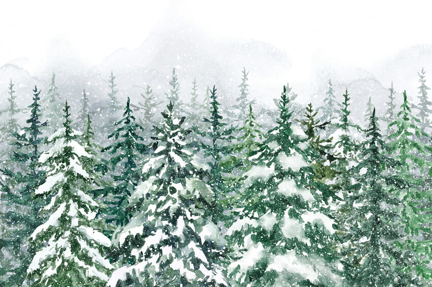 Winter Pine Trees Forest Snow Scenery Backdrop M7-43