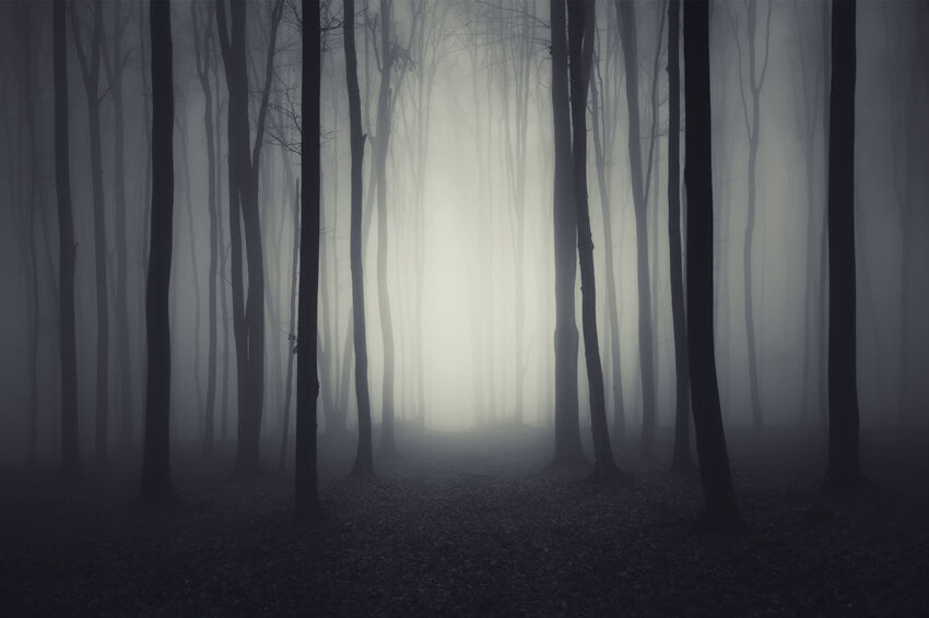 Halloween Dark Gloomy Night Forest Backdrop