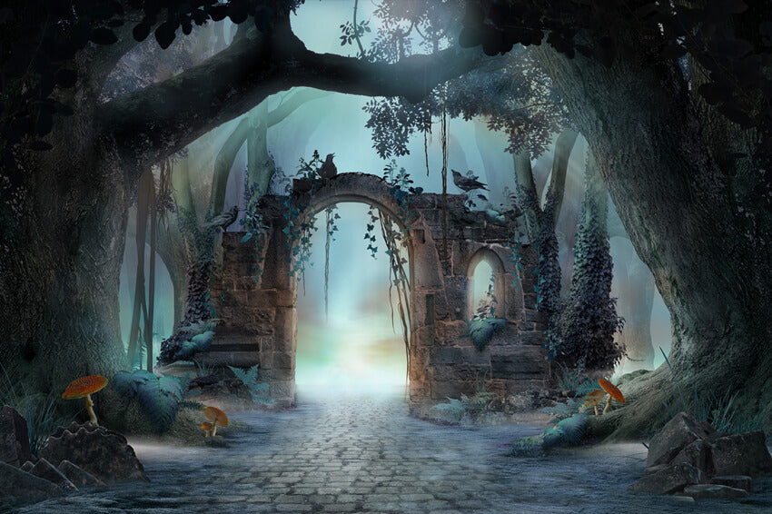 Foggy Forest Tree Archway Mushrooms Backdrop