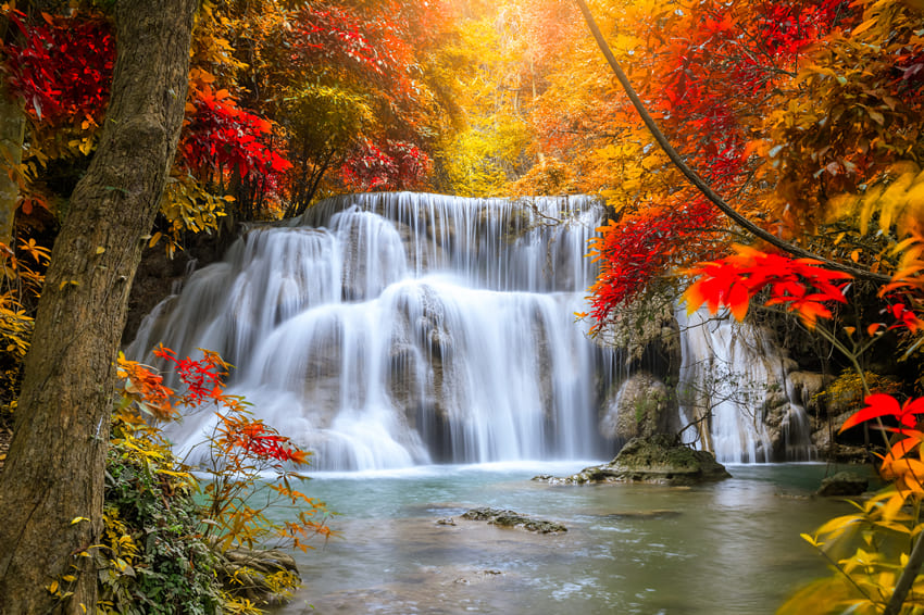 Maple Leaves Waterfall Fall Landscape Backdrop
