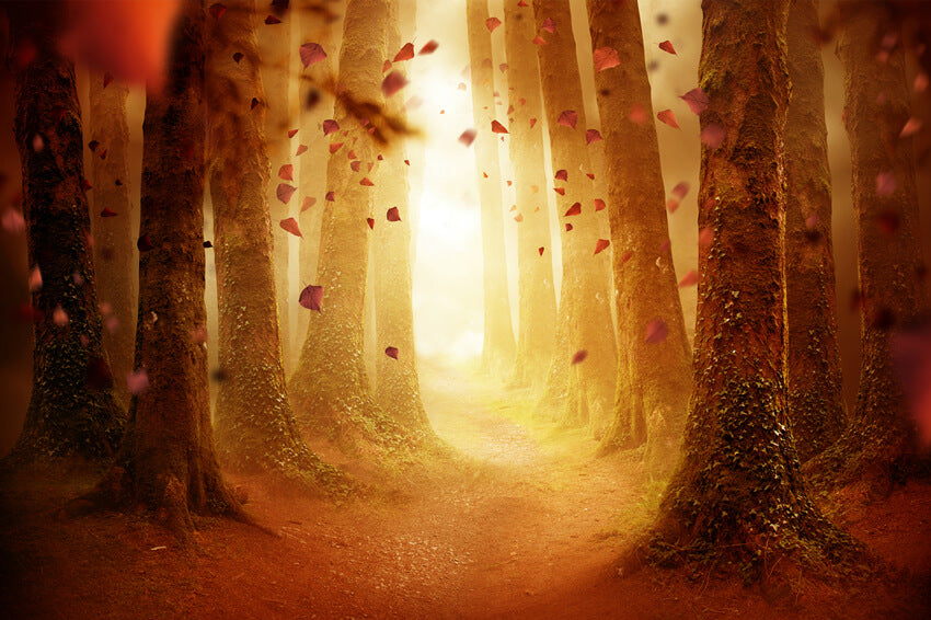 Autumn Forest Pathway Falling Leaves Backdrop