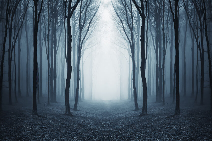 Mysterious Foggy Forest Halloween Backdrop