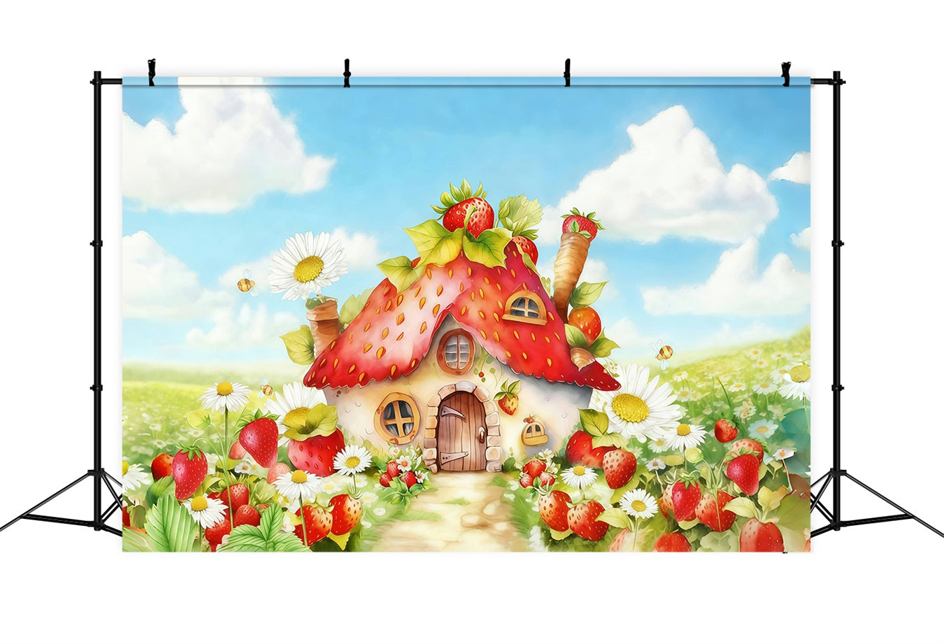 Children Backdrops Strawberry House Flowers Newborn Backdrop MRR10-28