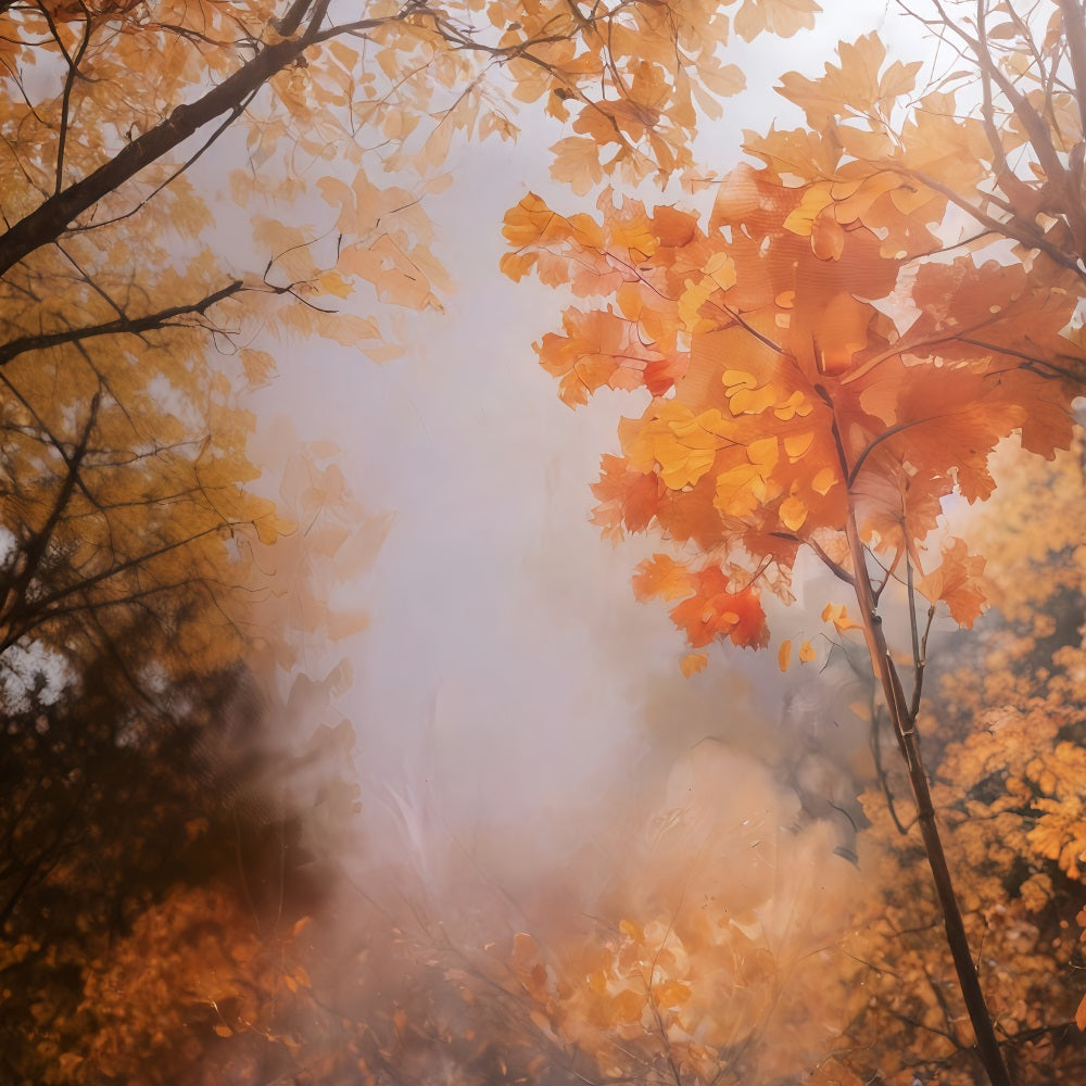 Fall Backdrop Golden Autumn Leaves Autumn Photo Backdrop MRR10-55