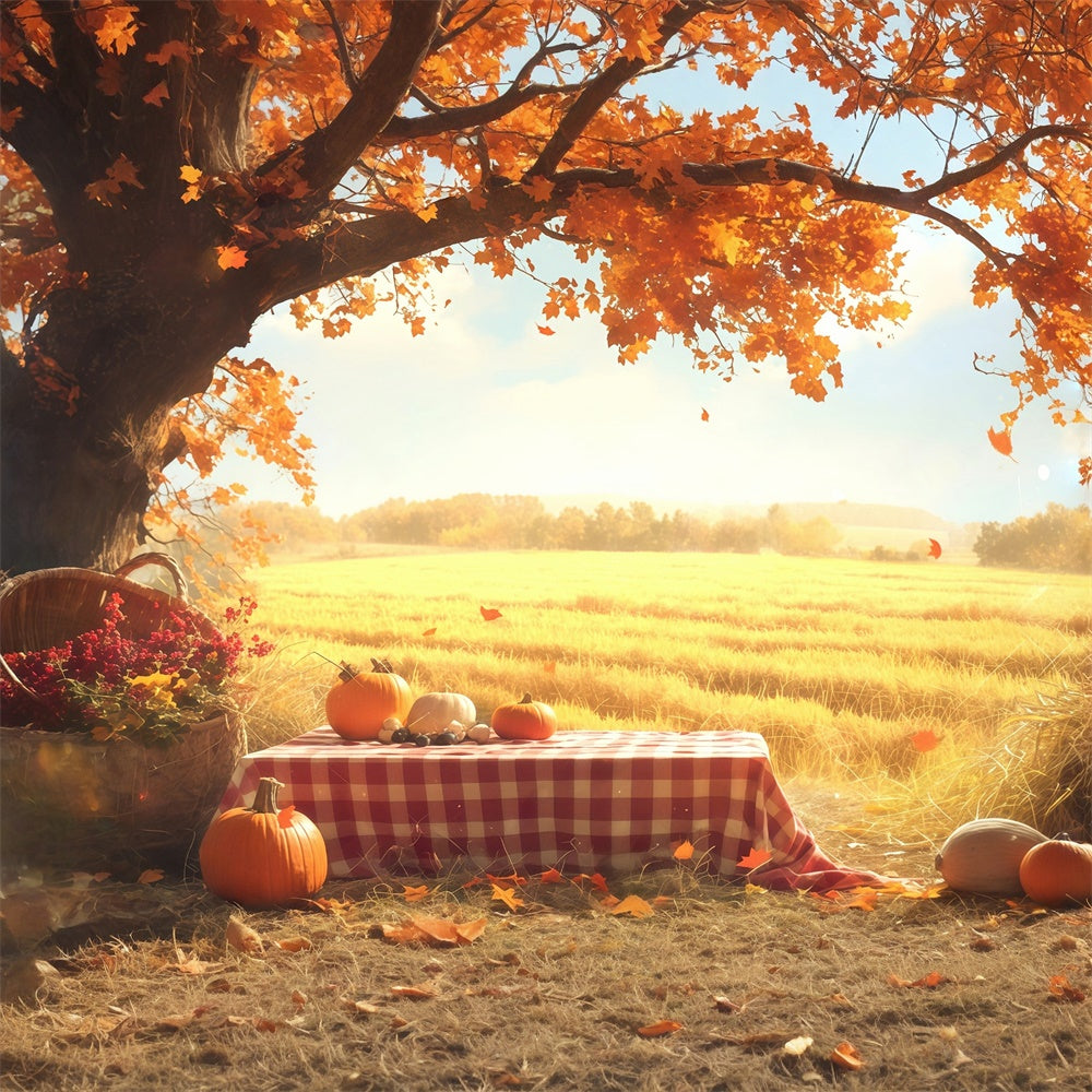 Fall Backdrop Golden Field Pumpkin Picnic Backdrop MRR7-129