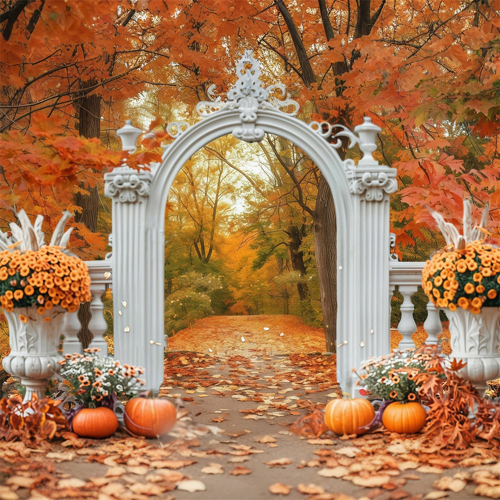 Autumn Leaves Backdrop Archway Forest Trail Backdrop MRR7-140