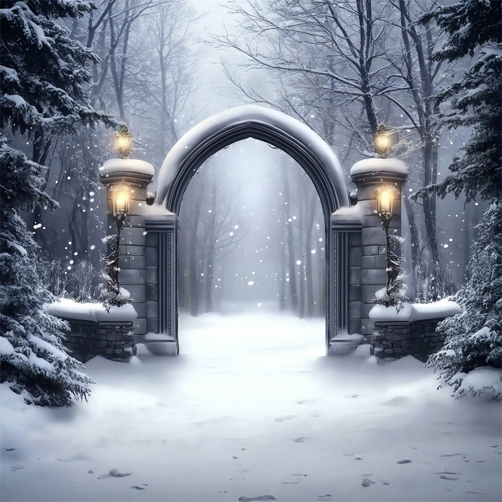 Winter Snow Backdrop Gothic Snow Gate Backdrop MRR7-152