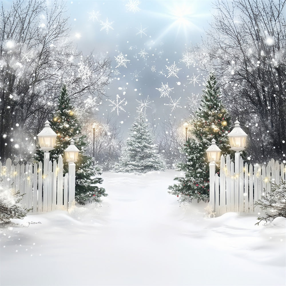 Snowflake Backdrop Sparkle Pine Welcome Backdrop MRR7-155