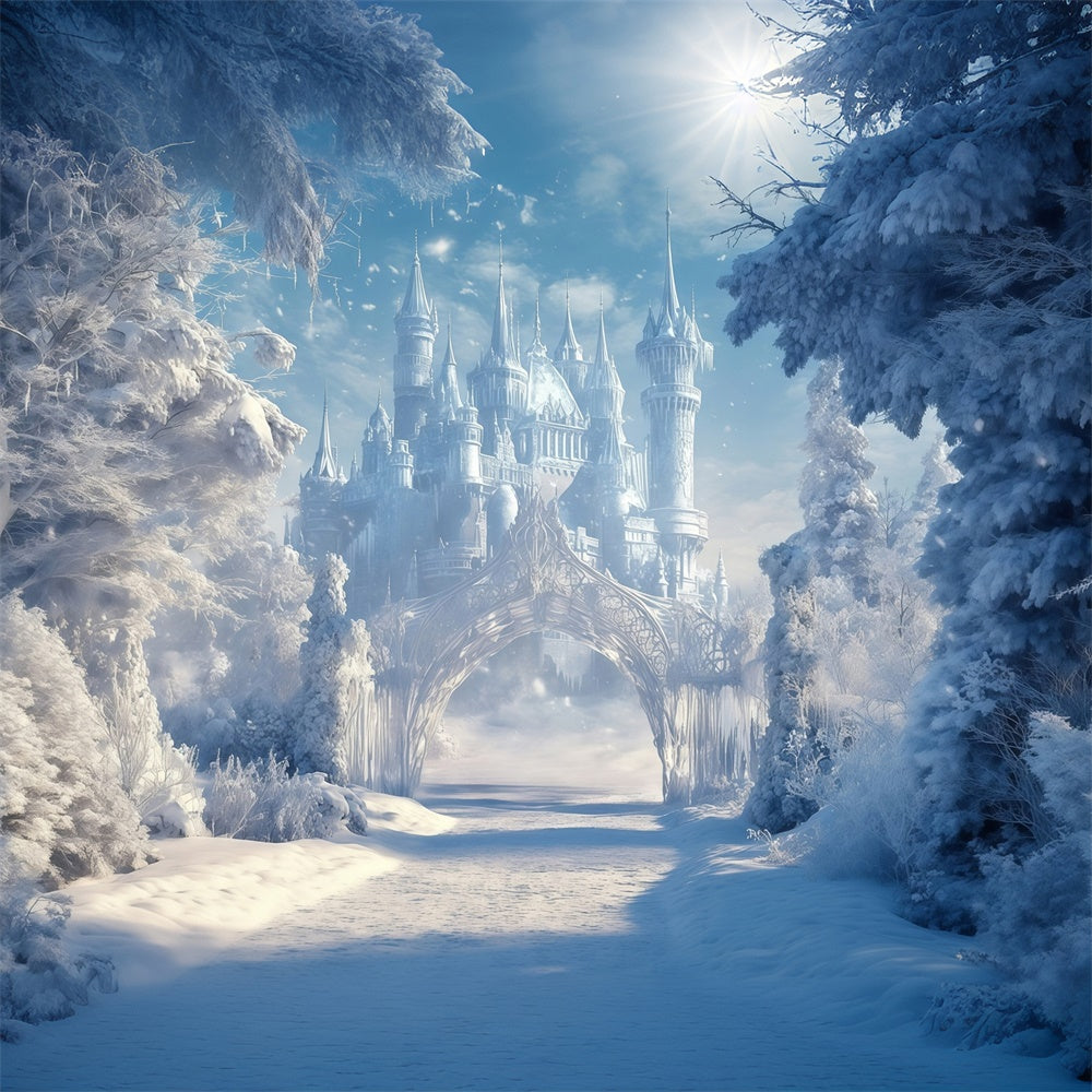 Winter Castle Backdrop Snowy Kingdom Trail Backdrop MRR7-156