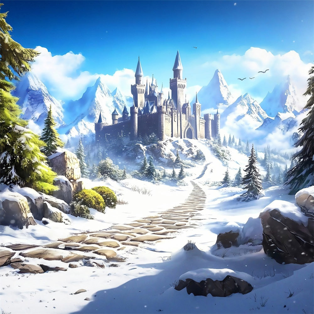 Castle Photo Backdrop Castle Path Winter Backdrops MRR7-157