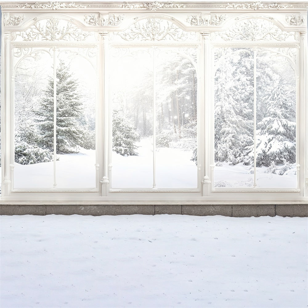 Winter Backdrop Ornate Winter Window View Backdrop MRR7-159