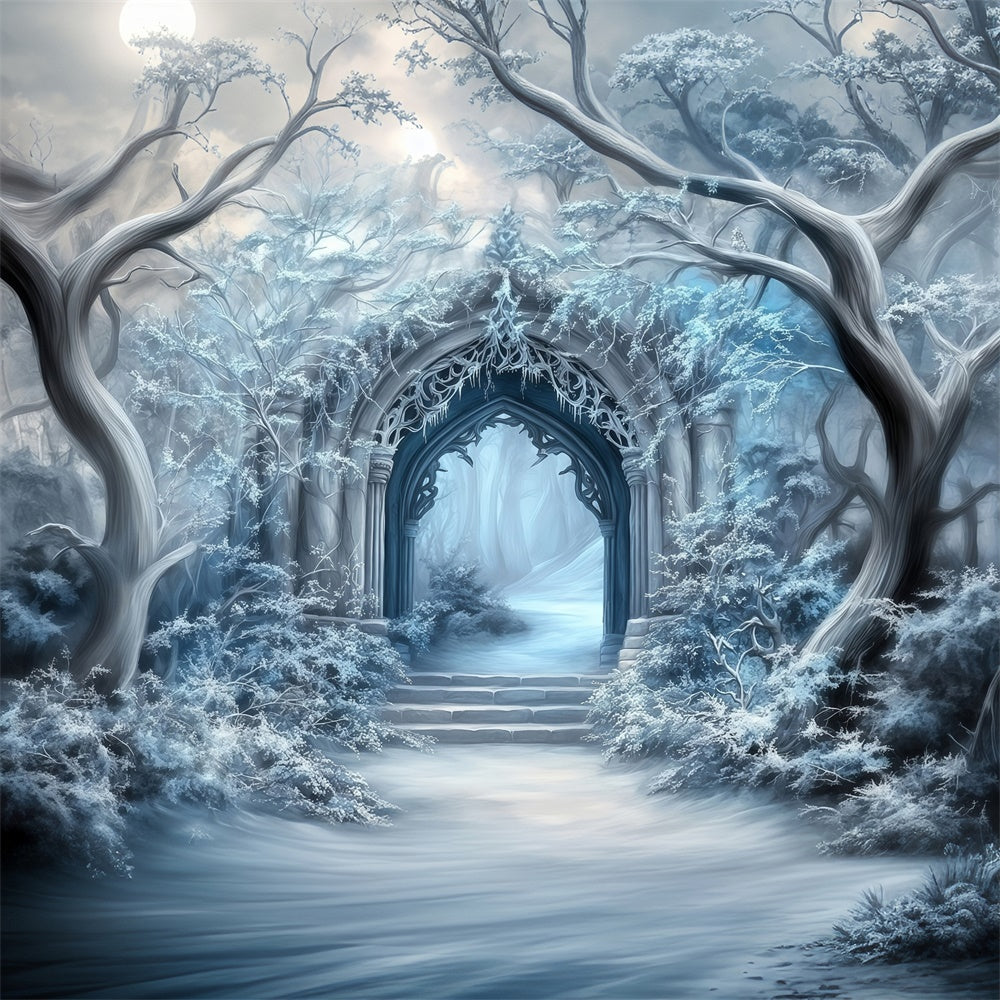 Winter Wonderland Backdrop Frosted Gothic Gateway Backdrop MRR7-160