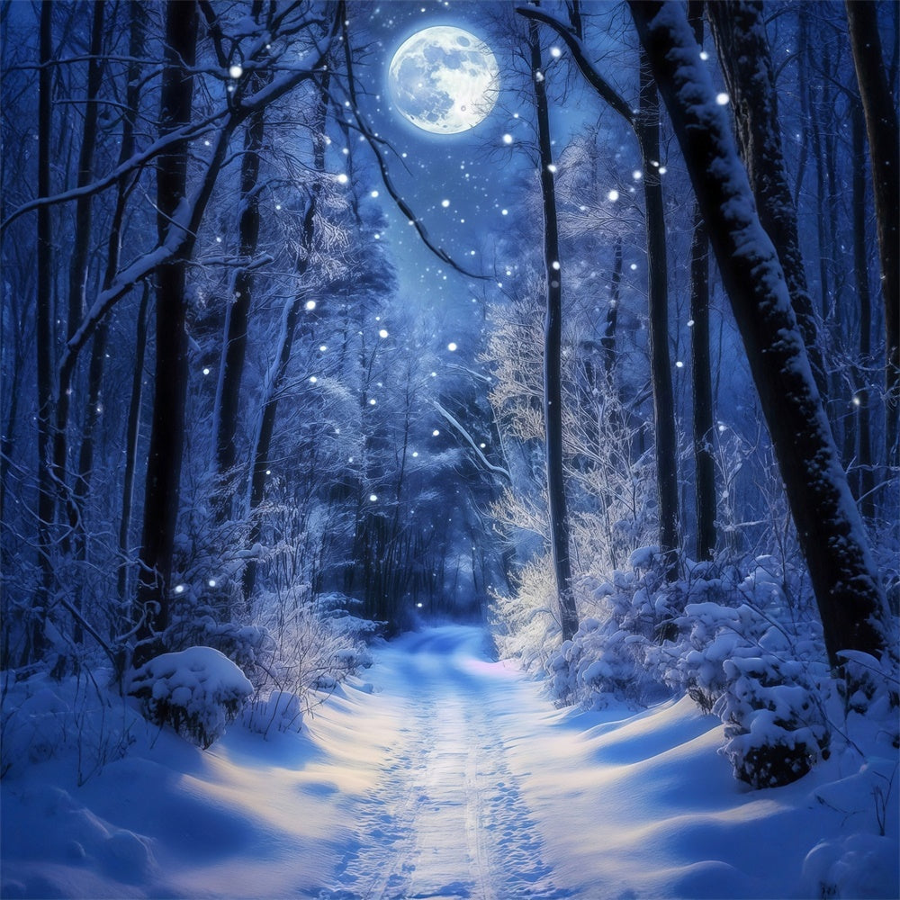 Winter Forest Backdrop Glowing Moon Trail Backdrop MRR7-180