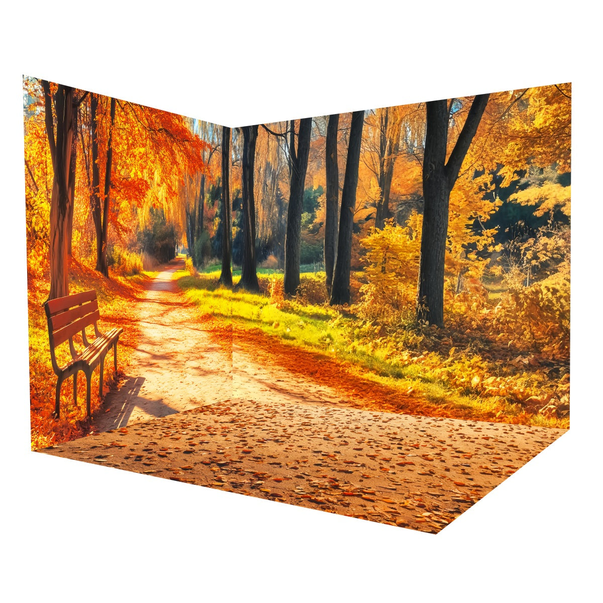Fall Forest Backdrop Autumn Park Bench Path Backdrop Room Set MRR8-224