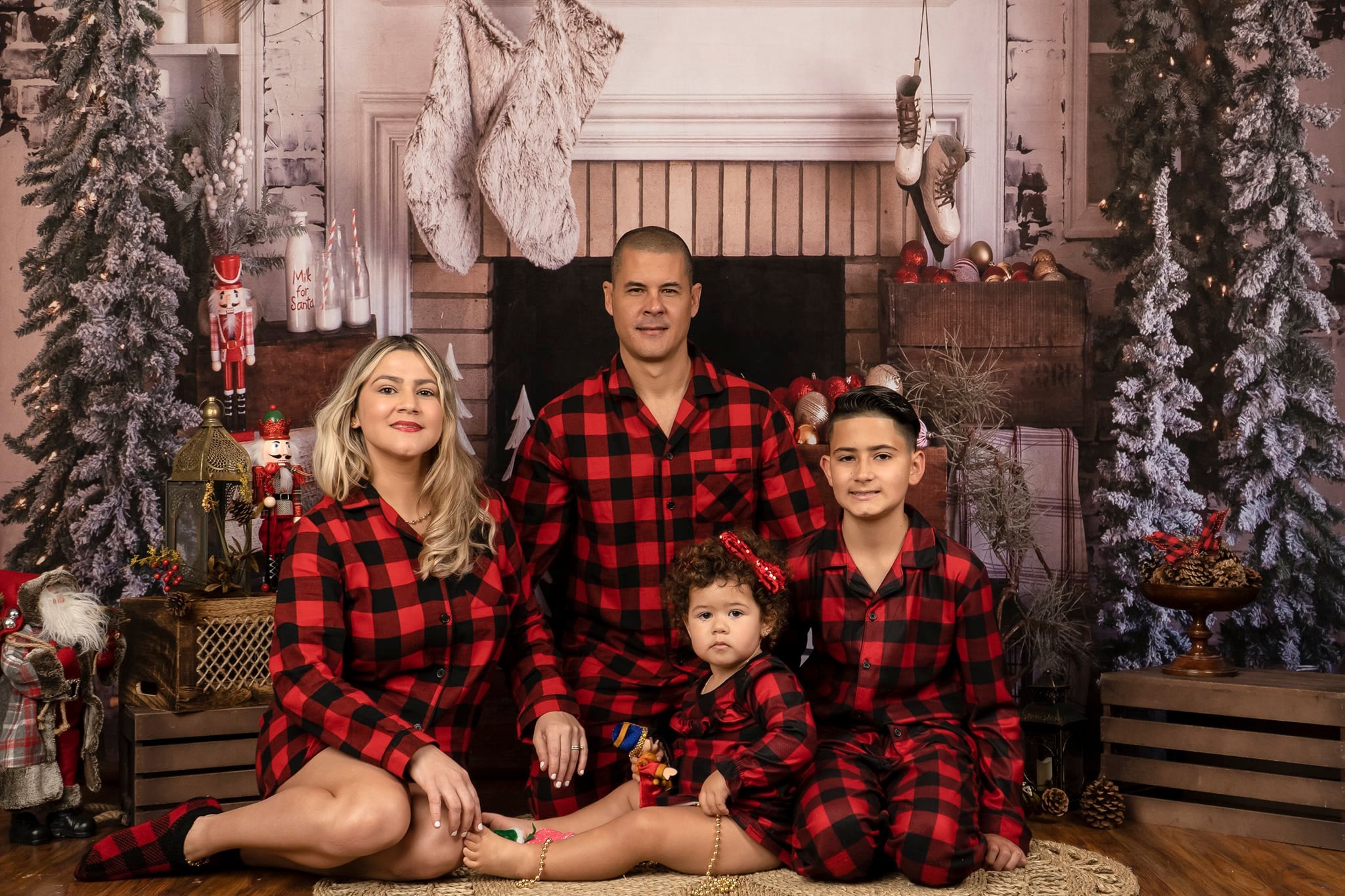 Christmas Backdrop Frosted Pines Fireplace Decor Christmas Photo Backdrop MRR8-261
