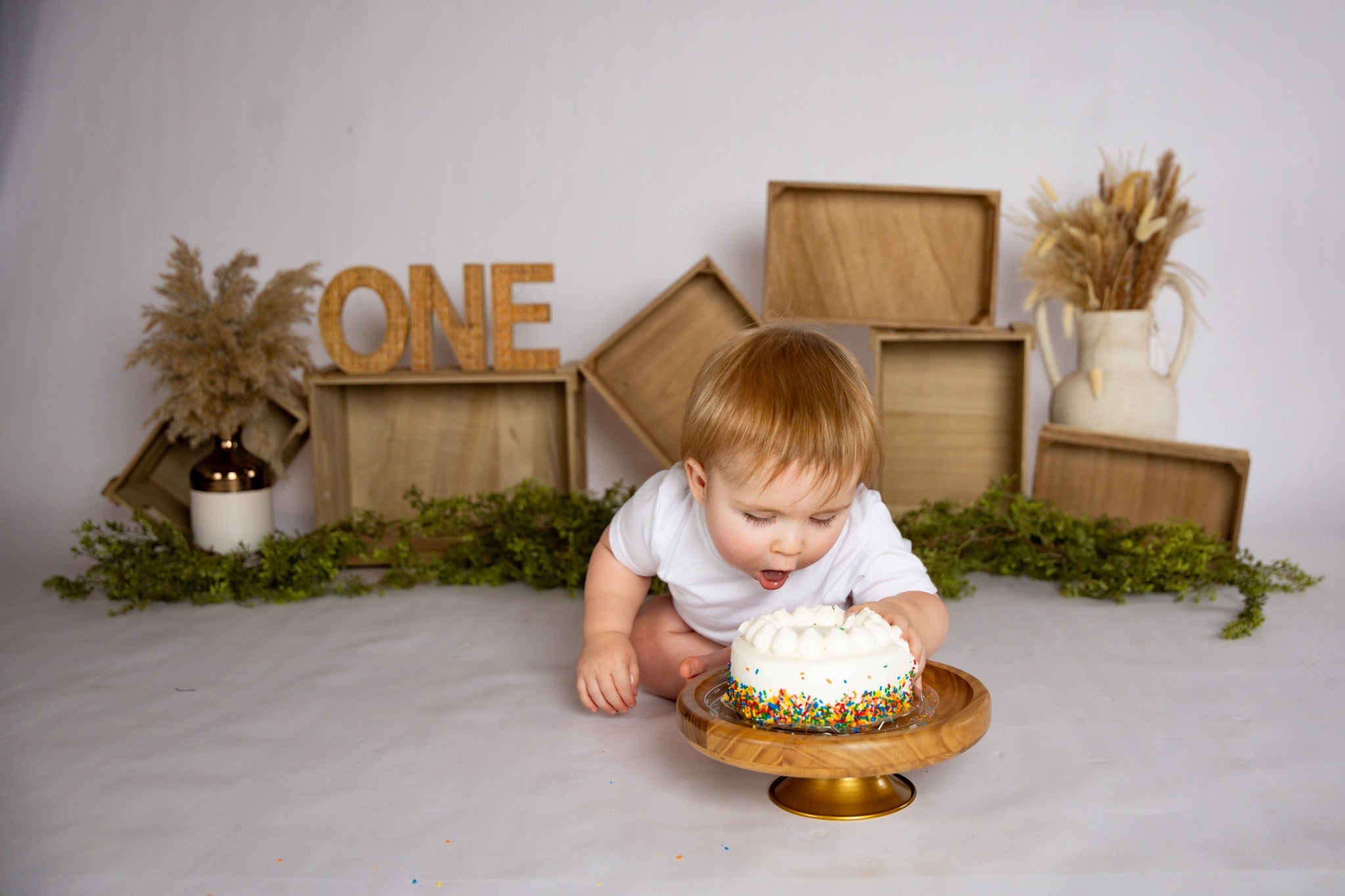 Cake Smash Backdrops Wooden Boxes Pampas Arrangement 1st Birthday Backdrop MRR8-269
