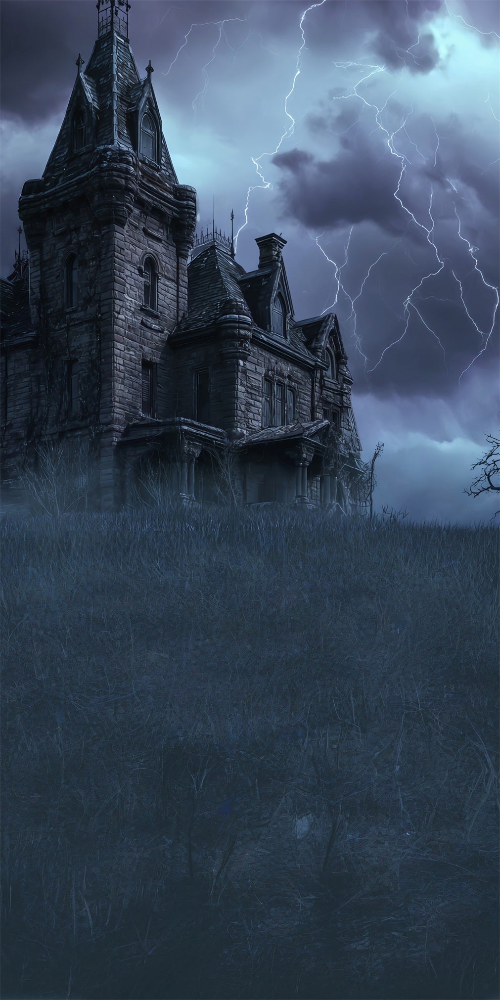 Spooky Halloween Backdrop Lightning Night Vintage Brick Wall Castle Sweep Backdrop MRR8-62