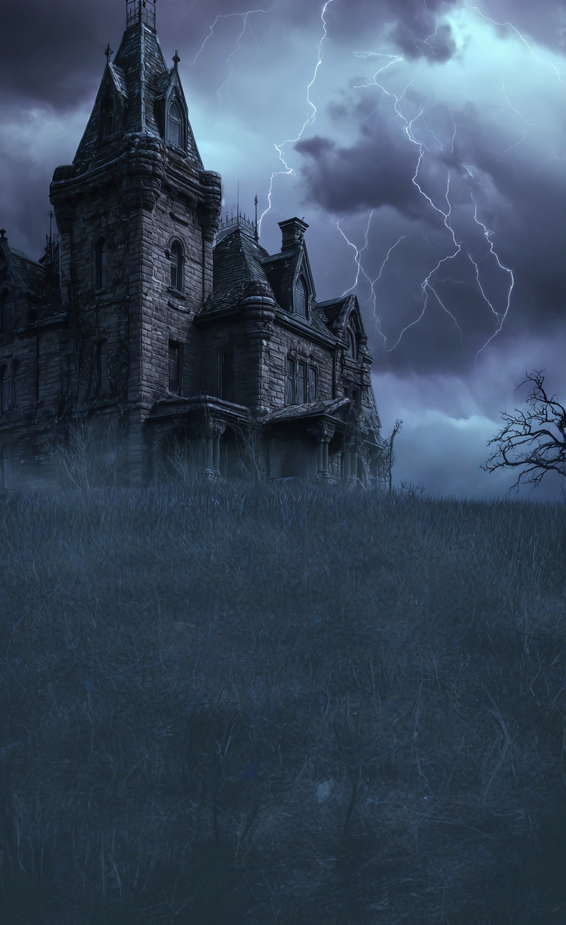 Spooky Halloween Backdrop Lightning Night Vintage Brick Wall Castle Sweep Backdrop MRR8-62