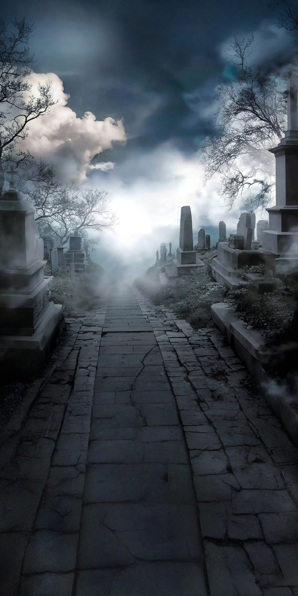 Halloween Graveyard Backdrop Quiet Smokey Cemetery Sweep Backdrop MRR8-70
