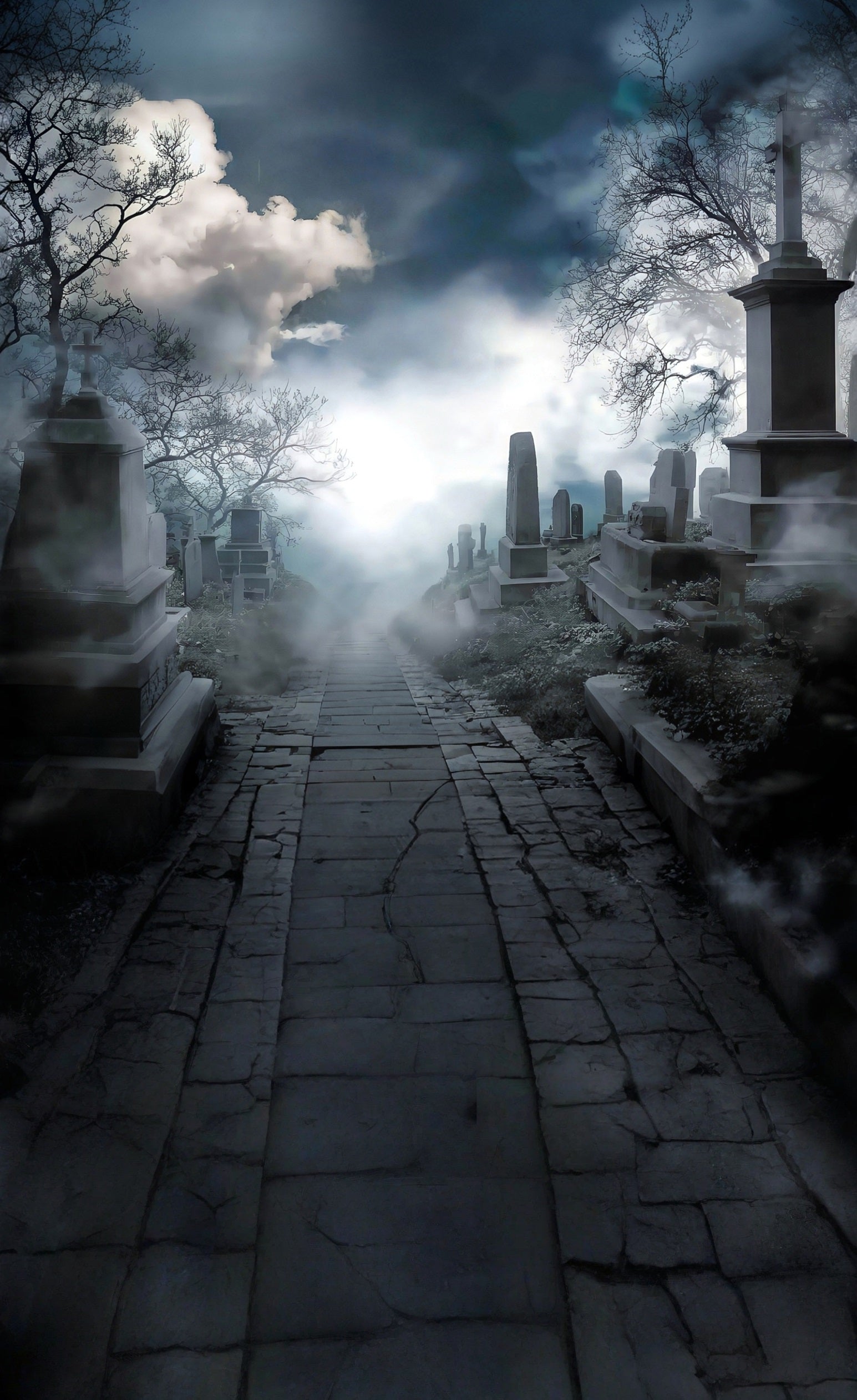 Halloween Graveyard Backdrop Quiet Smokey Cemetery Sweep Backdrop MRR8-70