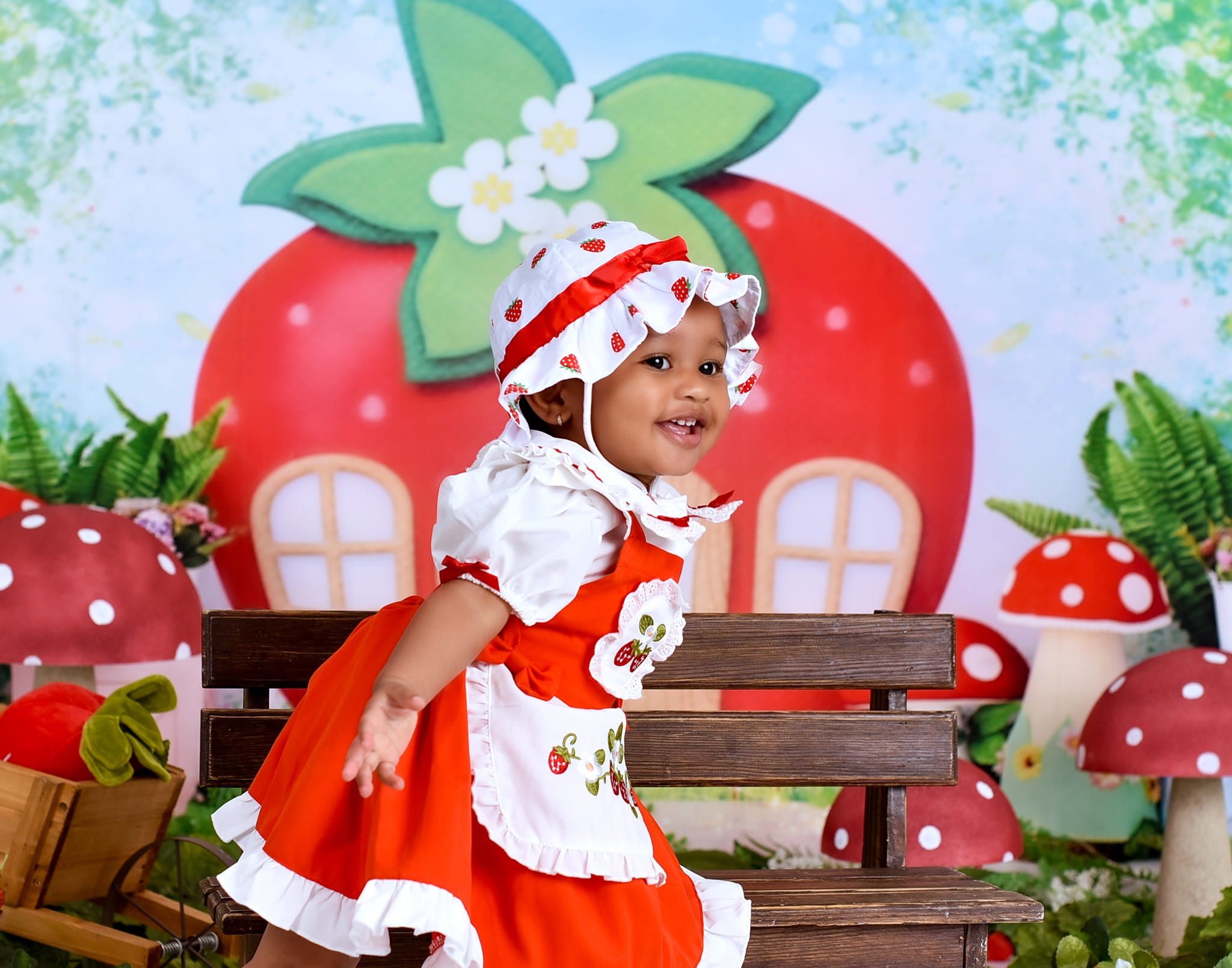 Children Backdrops Strawberry House Fairy Garden newborn Photography Backdrop MRR9-12
