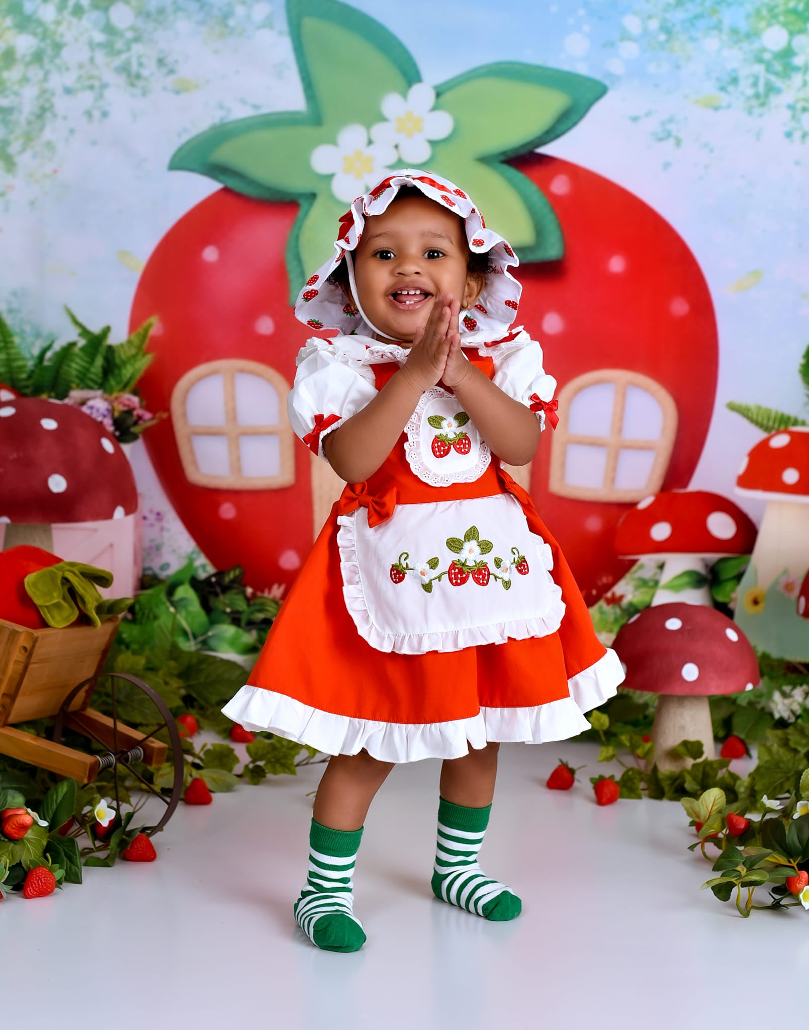 Children Backdrops Strawberry House Fairy Garden newborn Photography Backdrop MRR9-12