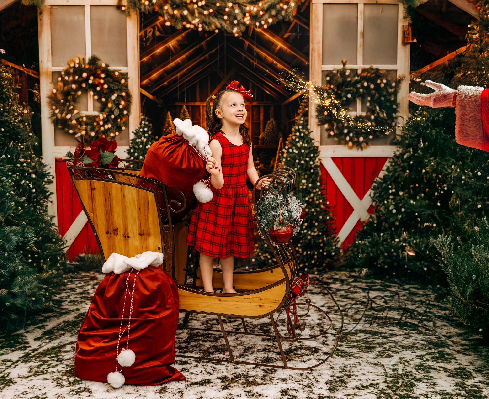 Tree Farm Backdrop Christmas Tree Barn Lights Christmas Backdrop MRR9-13