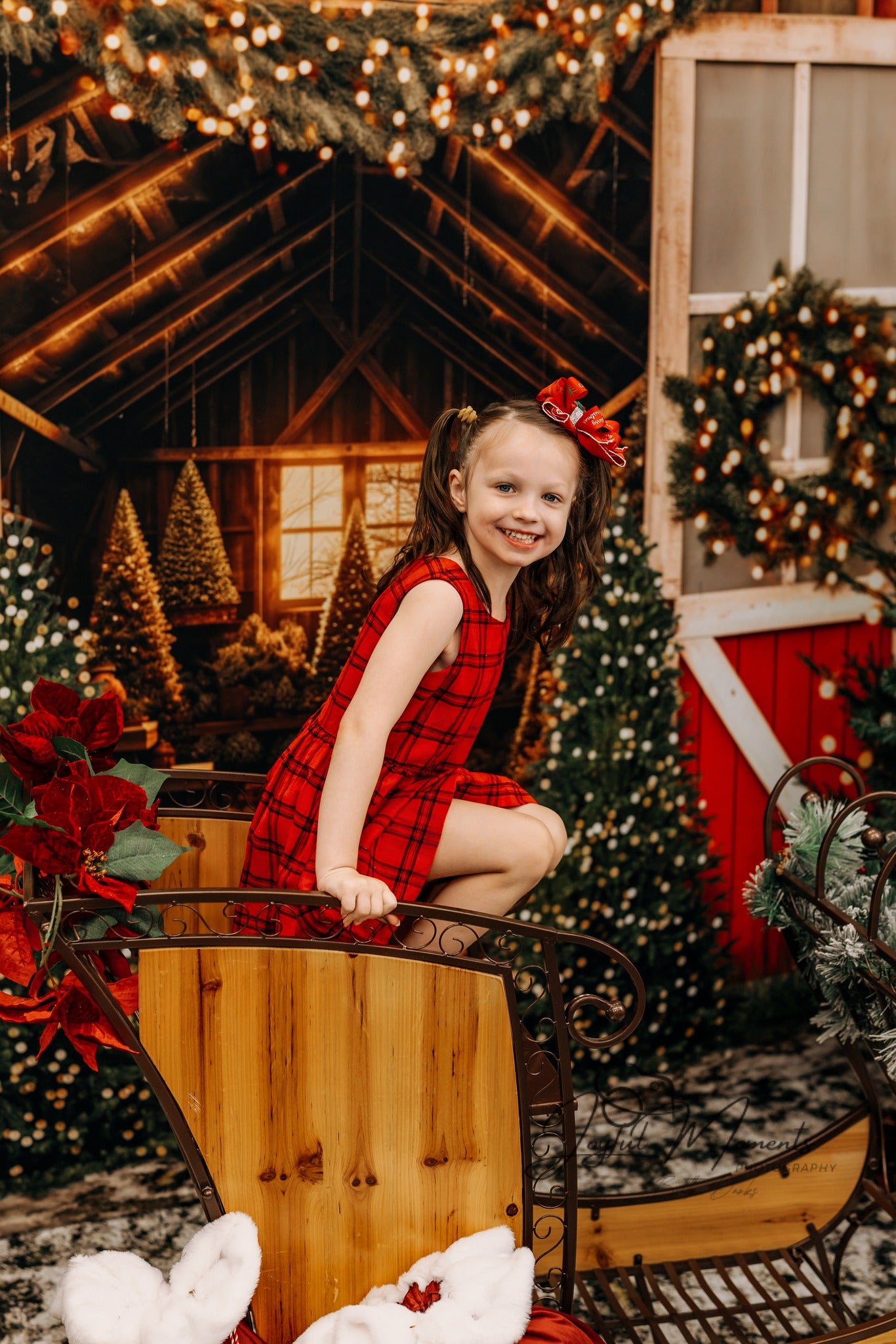 Tree Farm Backdrop Christmas Tree Barn Lights Christmas Backdrop MRR9-13
