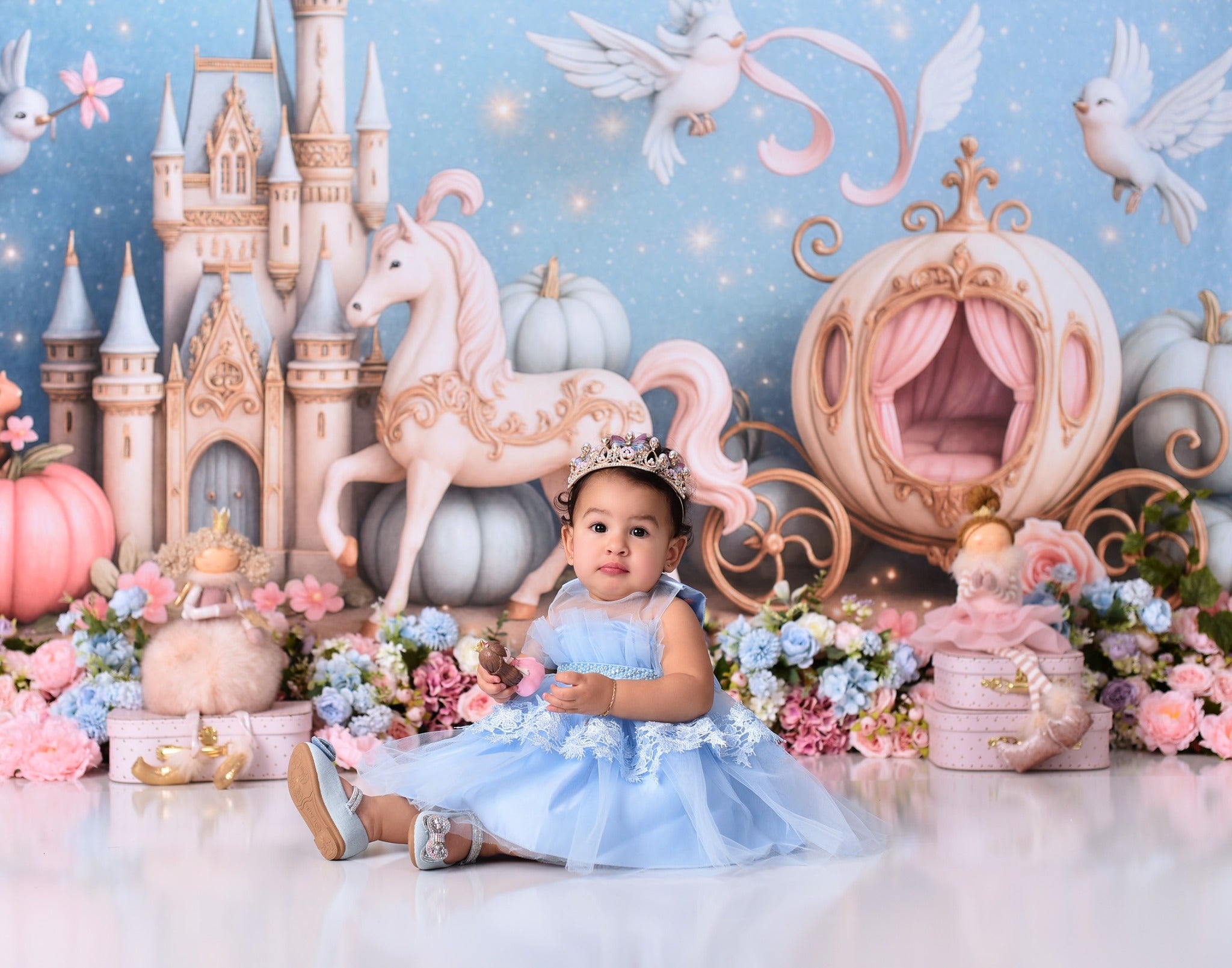 Castle Backdrop Fairy Tale Castle Carriage Newborn Photo Backdrop MRR9-16