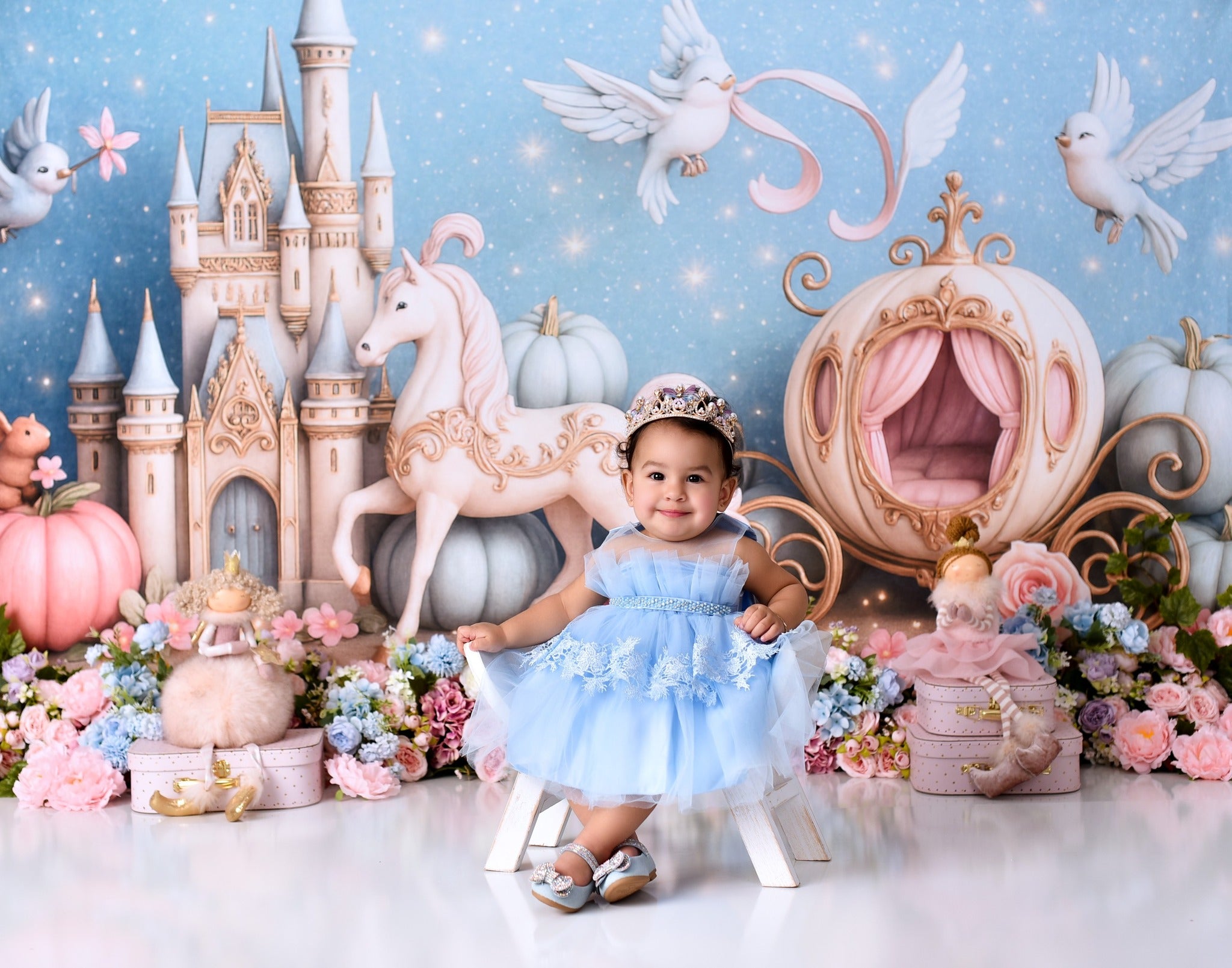 Castle Backdrop Fairy Tale Castle Carriage Newborn Photo Backdrop MRR9-16