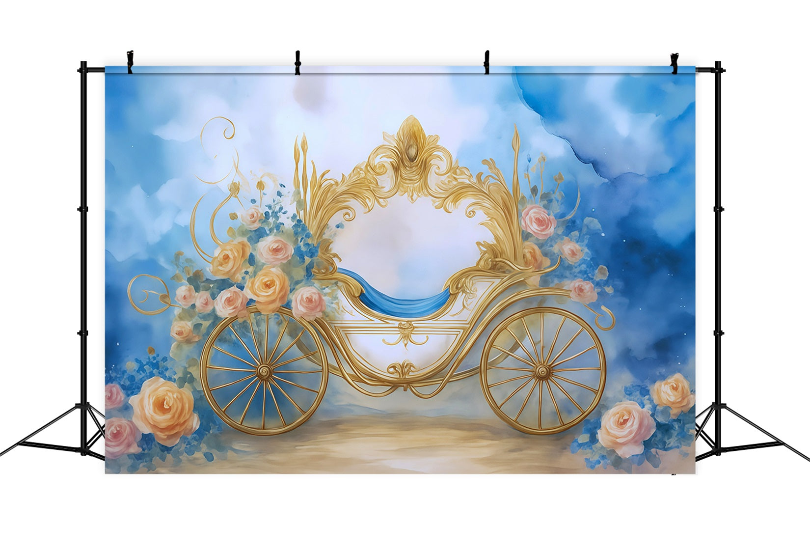 Newborn Photo Backdrop Golden Carriage Floral Fantasy Kids Backdrop MRR9-18