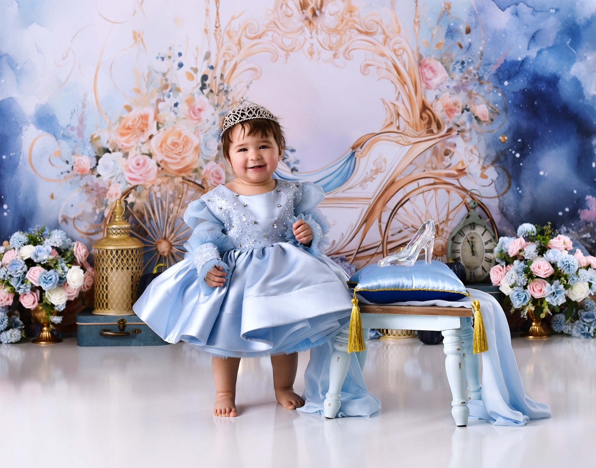 Newborn Photo Backdrop Golden Carriage Floral Fantasy Kids Backdrop MRR9-18