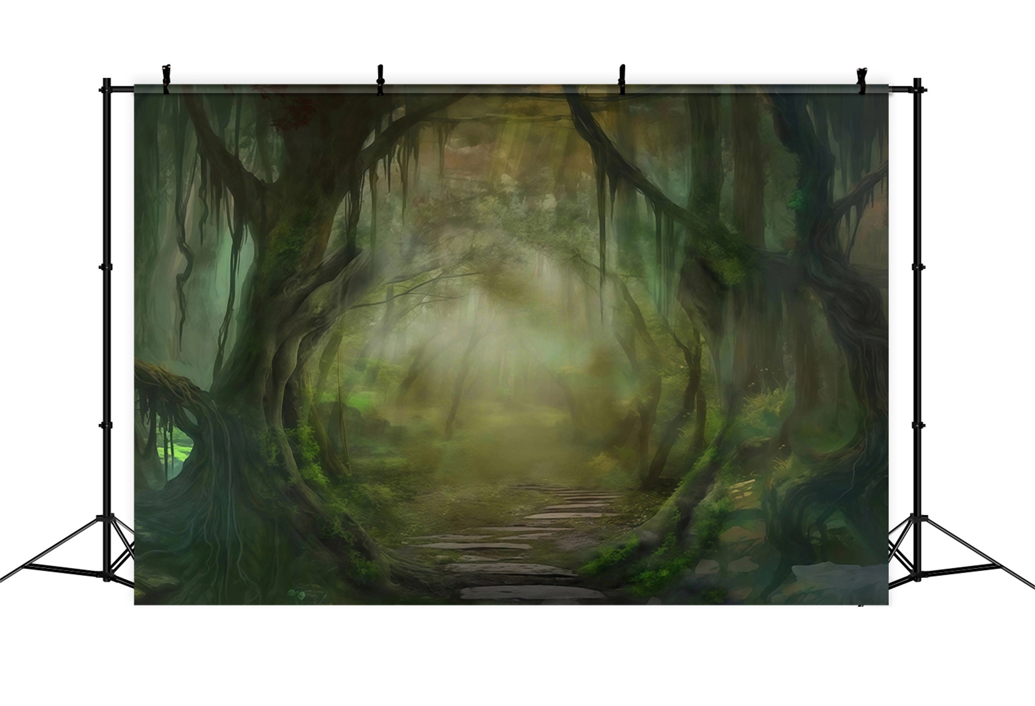 Forest Backdrop Misty Enchanted Forest Pathway Forest Photo Backdrop MRR9-22
