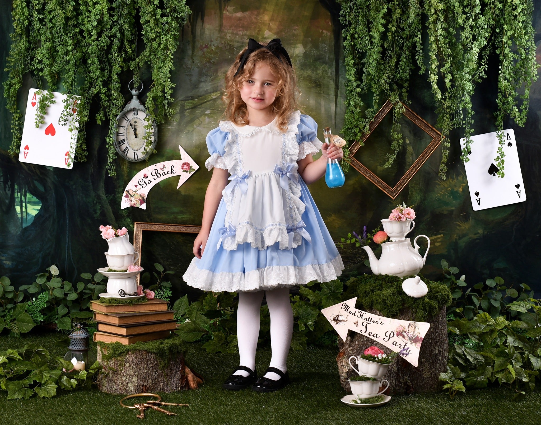 Forest Backdrop Misty Enchanted Forest Pathway Forest Photo Backdrop MRR9-22