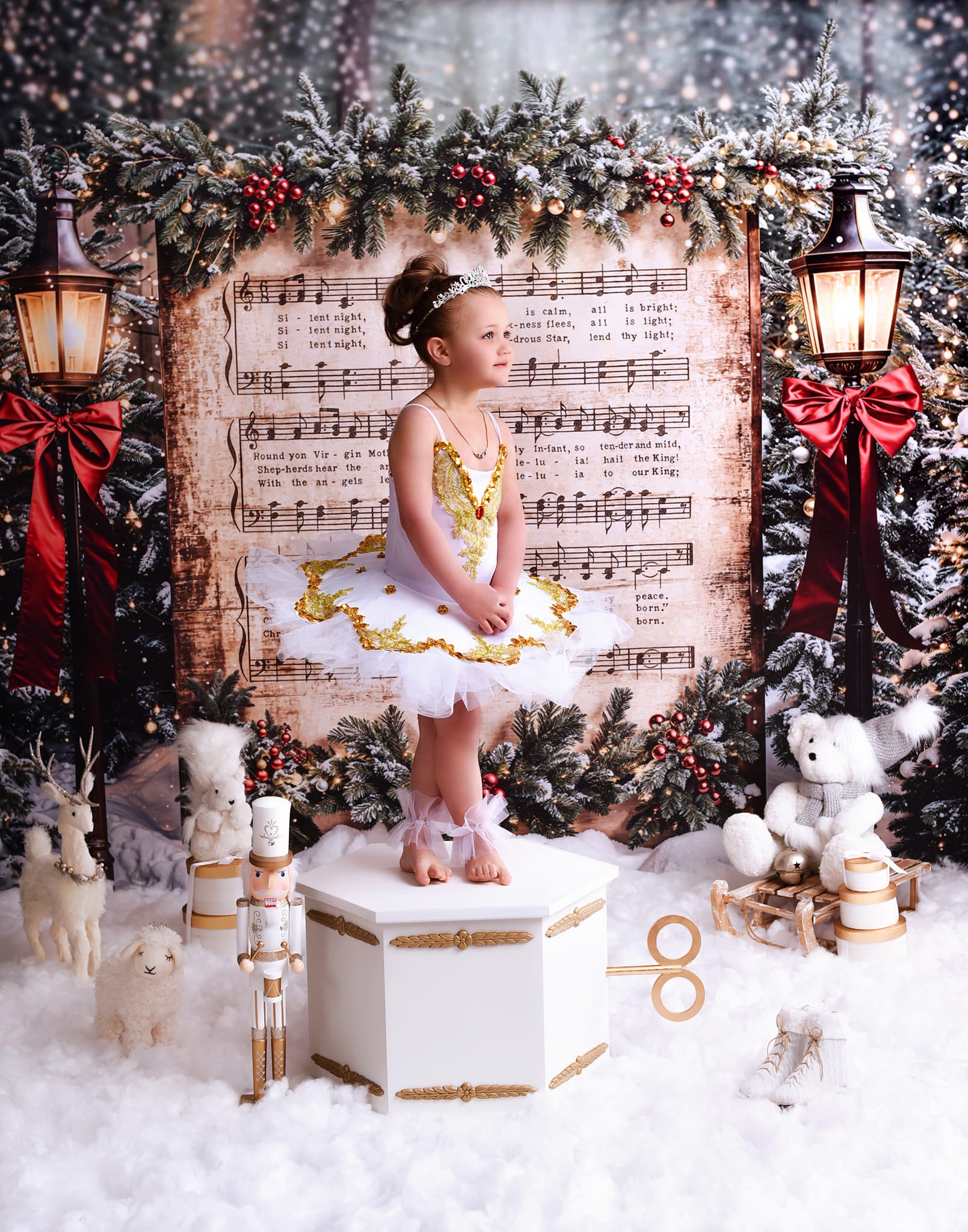 Joy To The World Backdrop Snowy Christmas Carol Music Christmas Backdrop MRR9-24