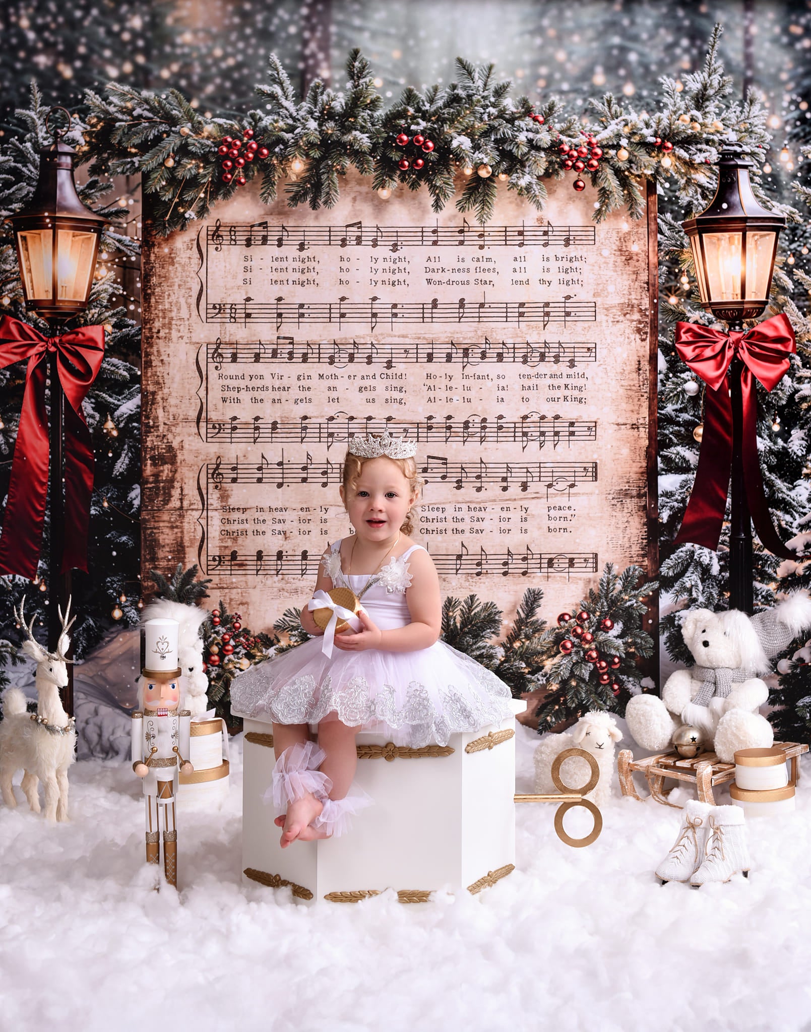 Joy To The World Backdrop Snowy Christmas Carol Music Christmas Backdrop MRR9-24
