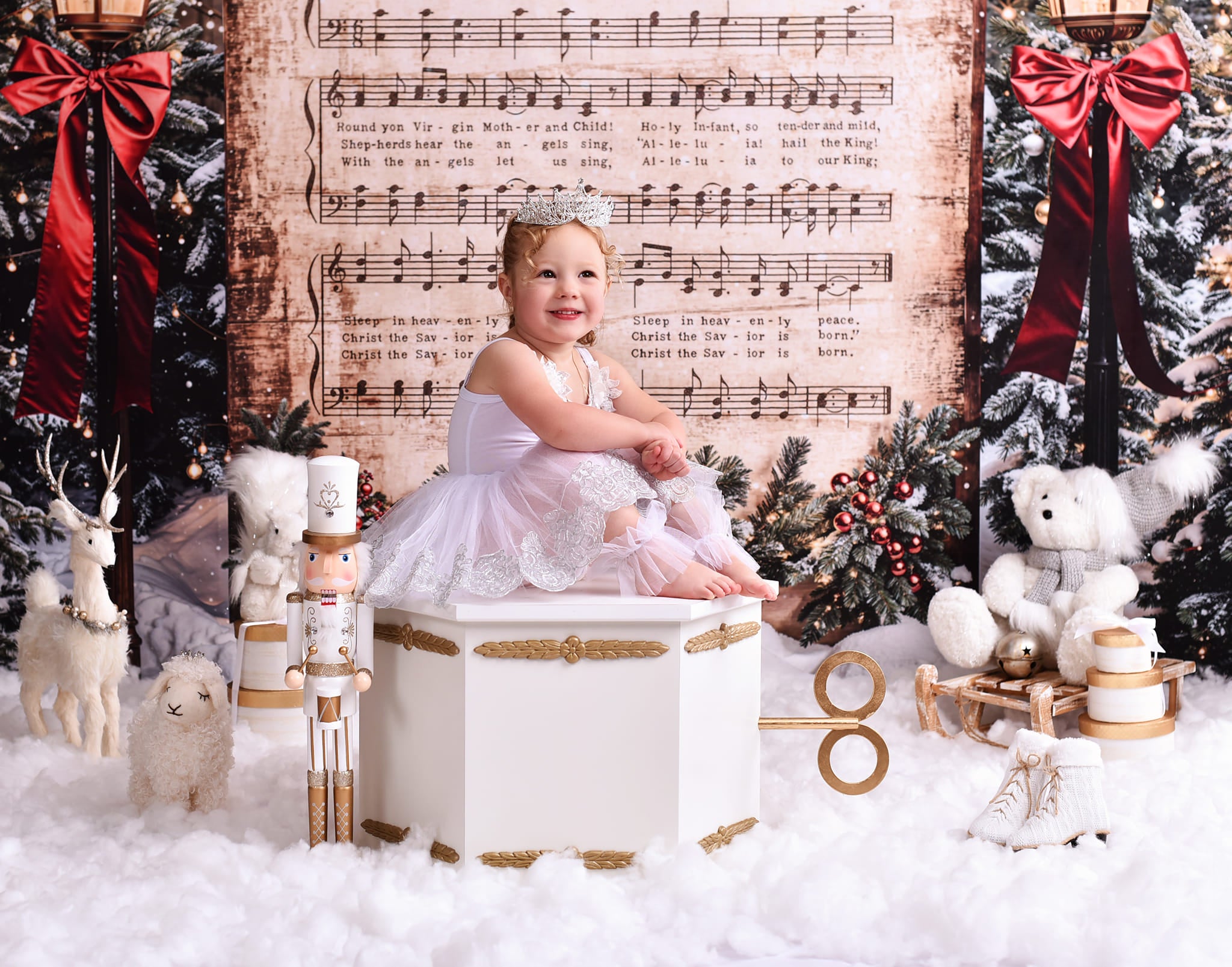 Joy To The World Backdrop Snowy Christmas Carol Music Christmas Backdrop MRR9-24