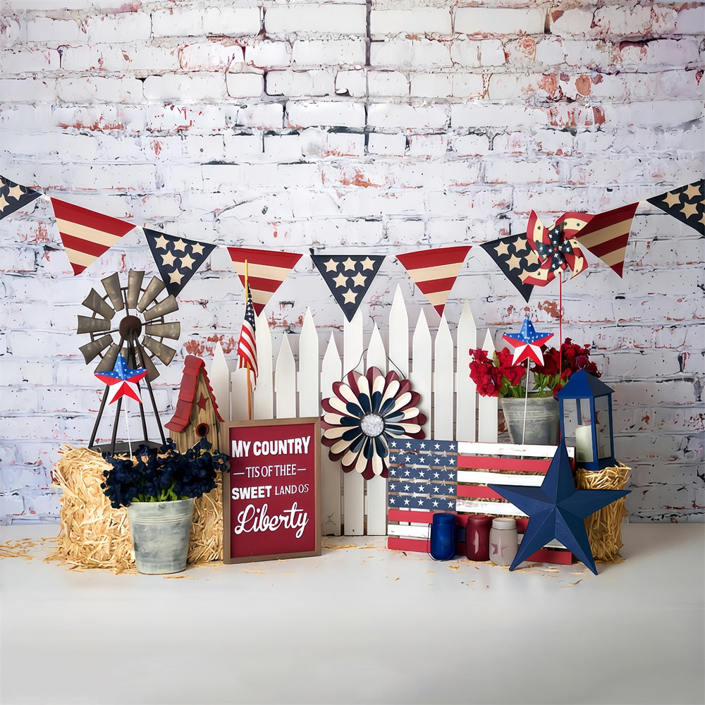 Independence Day Backdrop Patriotic Stars Stripes Display 4th of July Backdrop MRR9-26