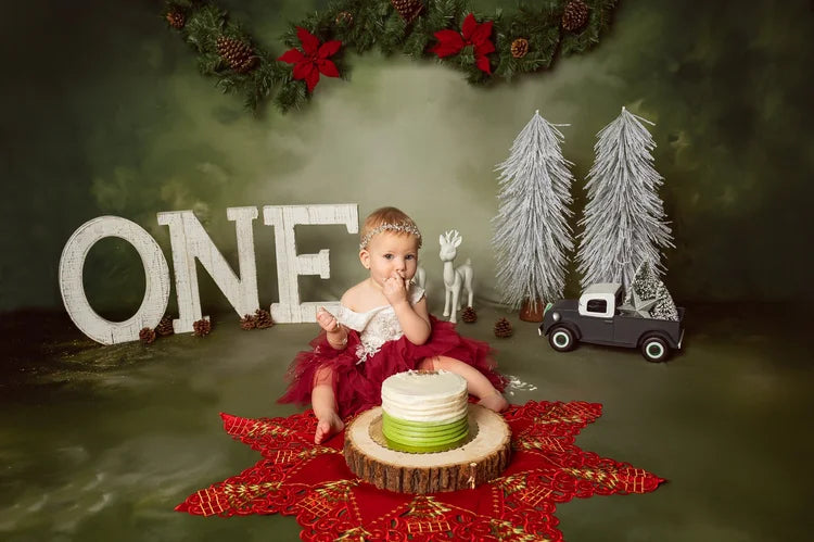 Vintage Backdrop Christmas Garland Pinecones Vintage Photo Backdrop MRR9-33