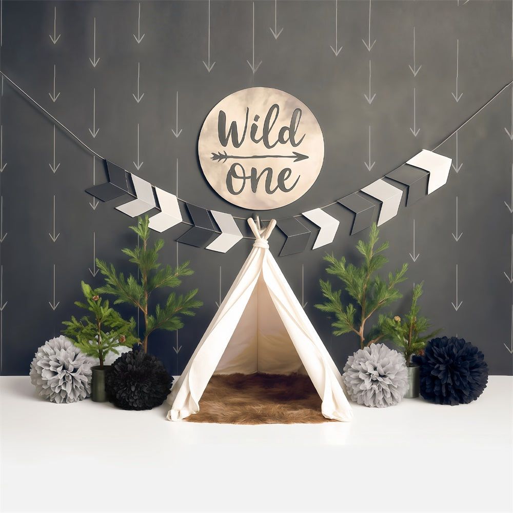 1st Birthday Backdrop Wild One Teepee Adventure Setup Cake Smash Backdrop MRR9-5