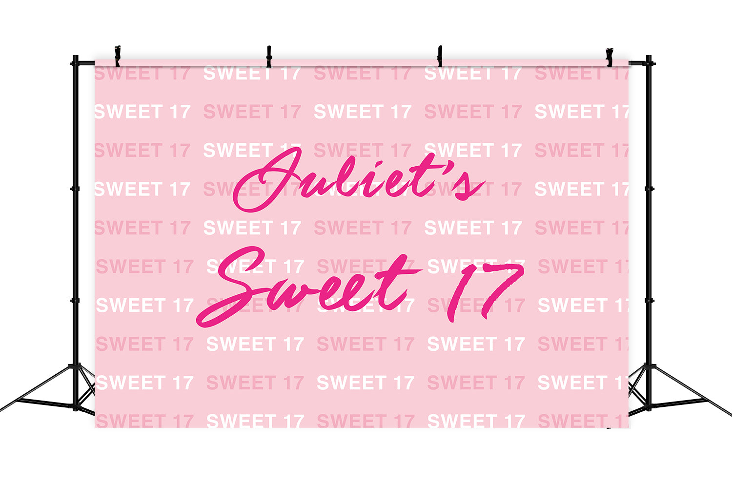 Custom Made Birthday Backdrops Sweet 17 Pattern Pink Backdrop RR12-23