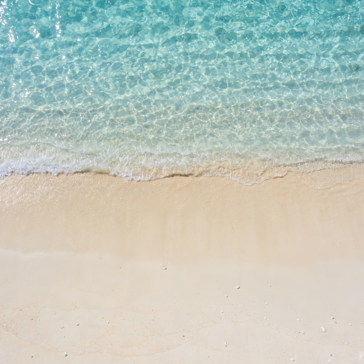 Beach Backdrop Photography Clear Turquoise Water Shore Summer Backdrop RR61-26