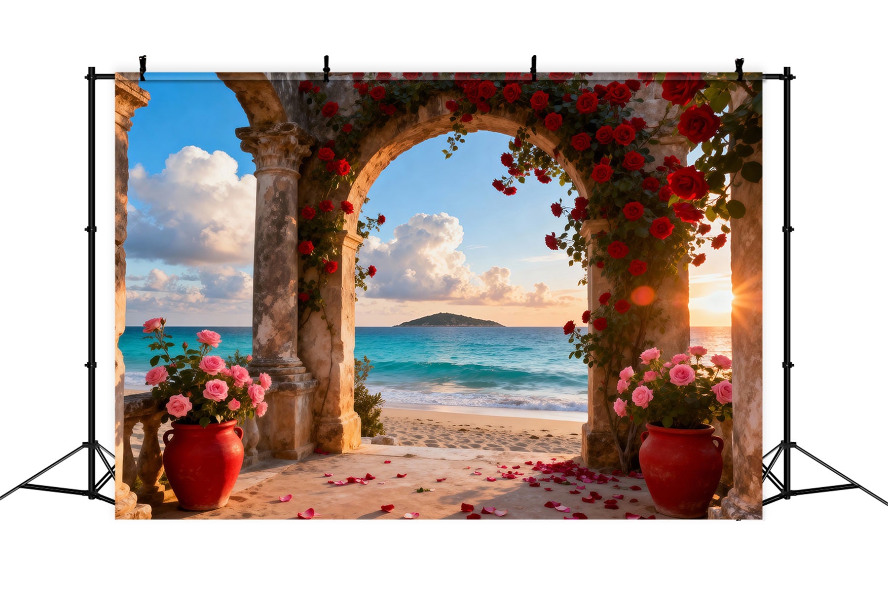 Beach Backdrops Romantic Rose Arch Ocean Summer Photo Backdrop RR61-30