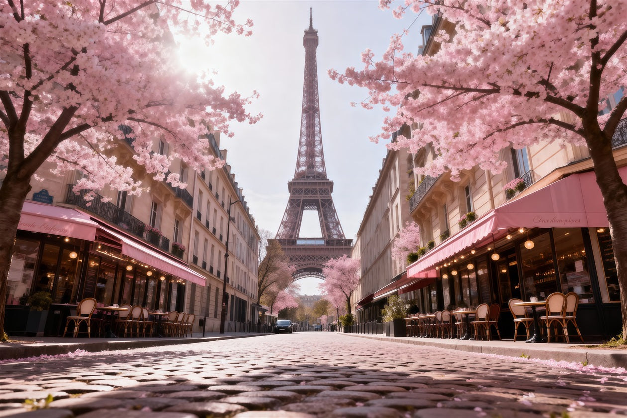 Paris Backdrop For Pictures Blossom Cafe Street Morning Eiffel Tower Paris Backdrop RR61-61