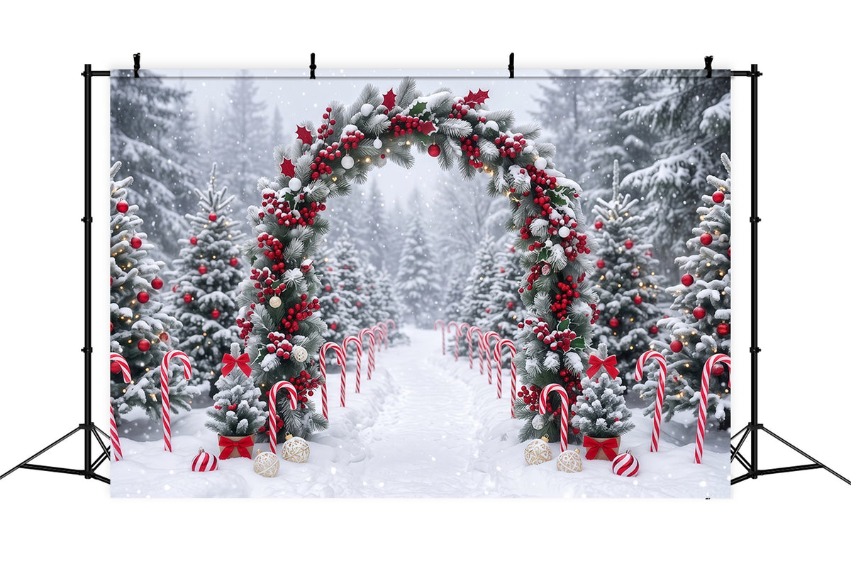 Christmas Backdrop for Photos Snowy Berry Garland Arch Christmas Backdrop for Wall RR610-125