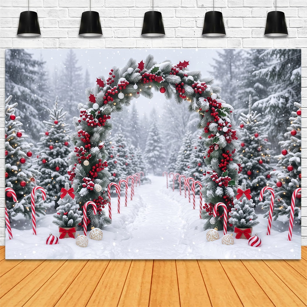 Christmas Backdrop for Photos Snowy Berry Garland Arch Christmas Backdrop for Wall RR610-125
