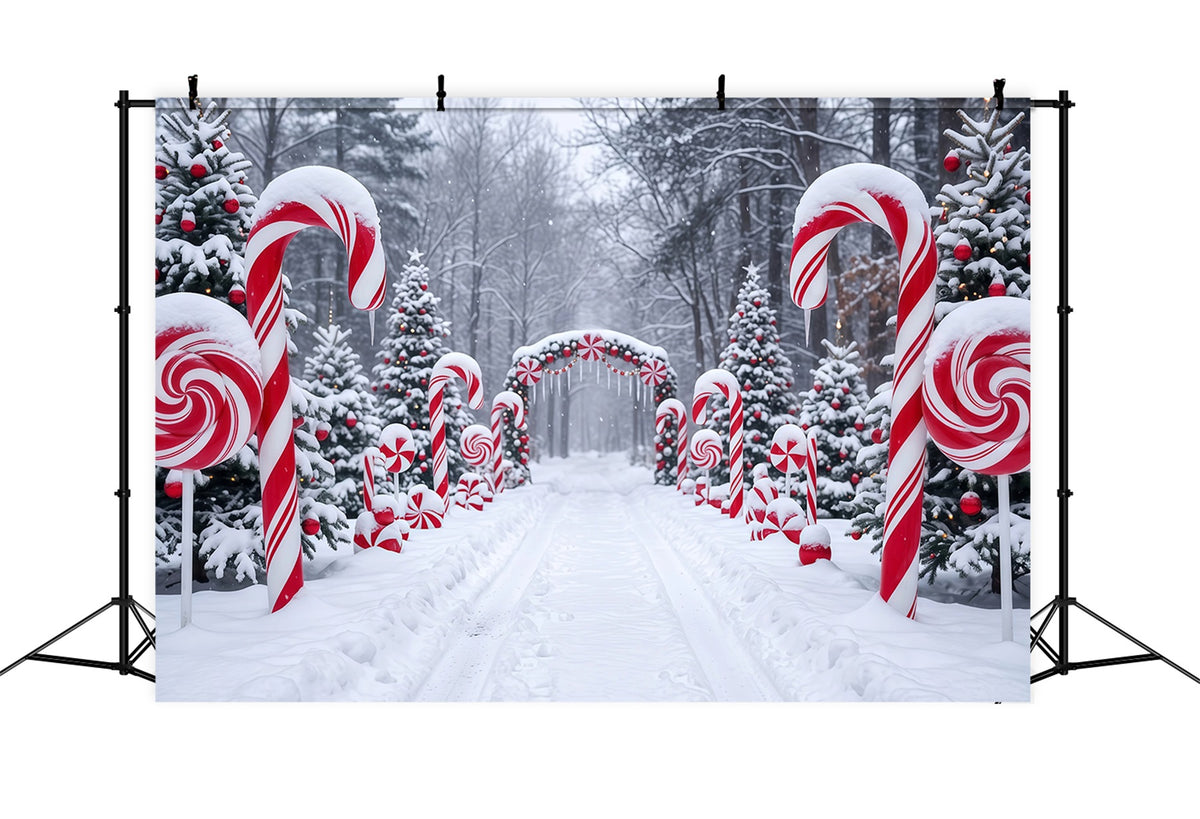 Christmas Candy Cane Backdrop Snowy Forest Pathway Christmas Backdrops for Stage RR610-126
