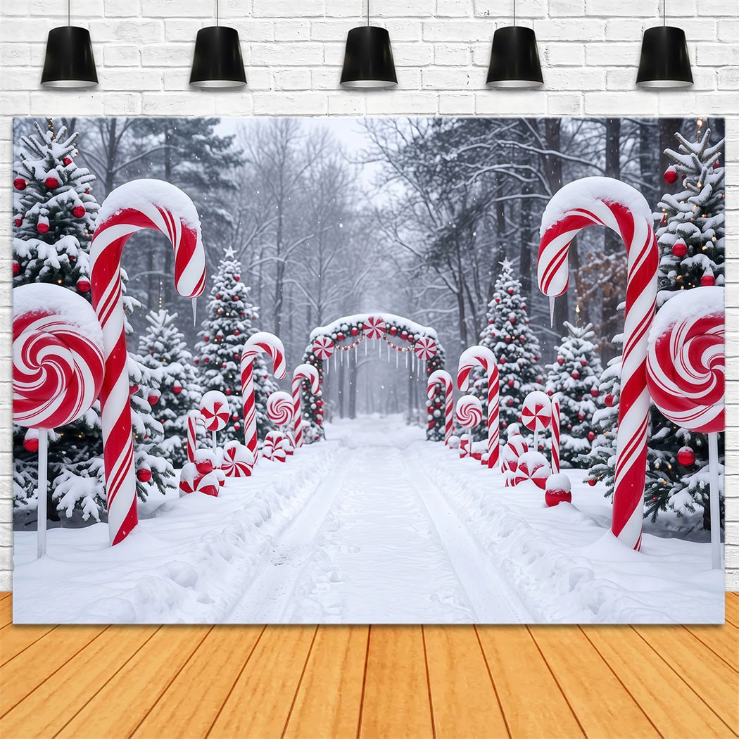 Christmas Candy Cane Backdrop Snowy Forest Pathway Christmas Backdrops for Stage RR610-126